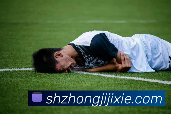 多彩内容专区